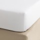 Drap housse Blanc Songe en percale de coton 80 fils/cm² Jardin d'Eden Lierre